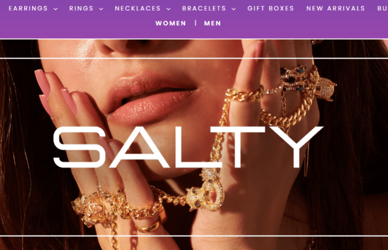 SALTY-SEO Case Study