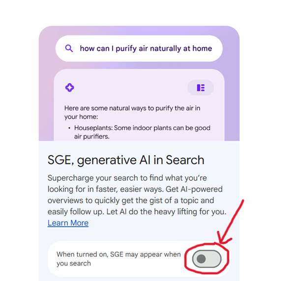 When turned on, SGE may appear when you search