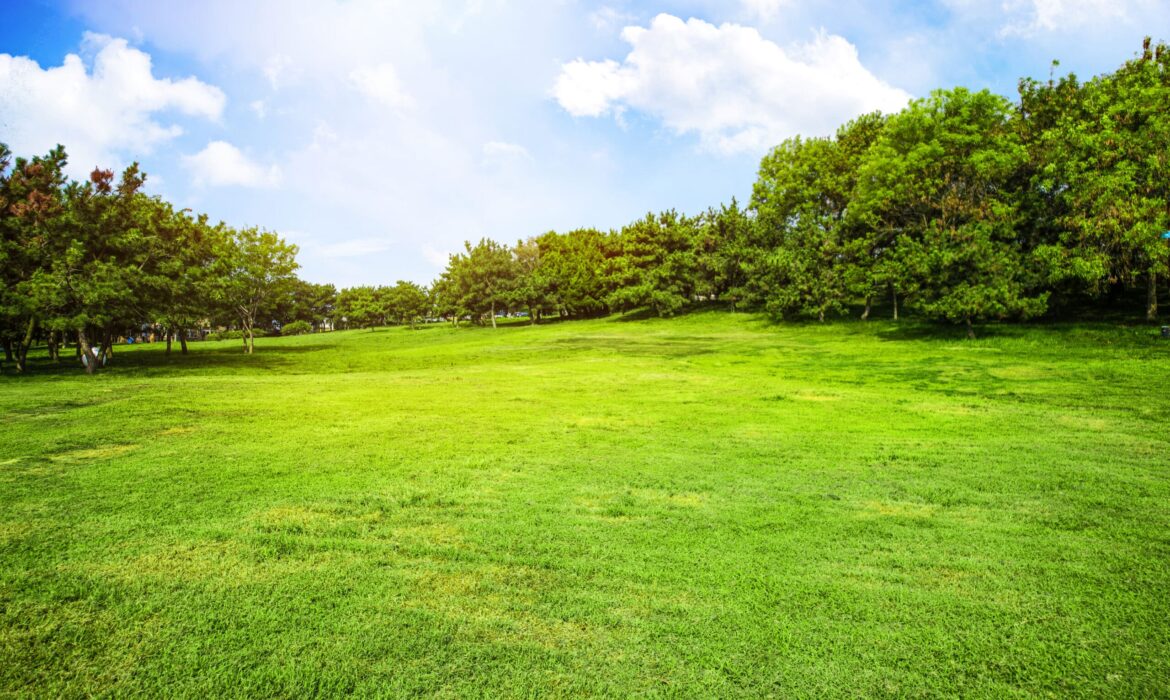 Lawn Pro of the Carolinas – Best Lawn Care Company in North Carolina