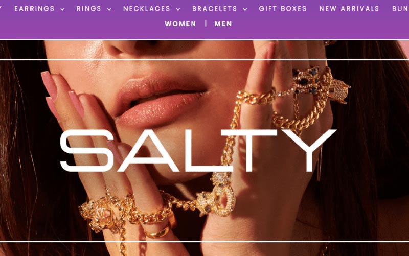 SALTY-SEO Case Study